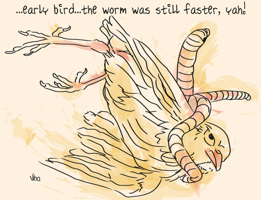 a_early_bird